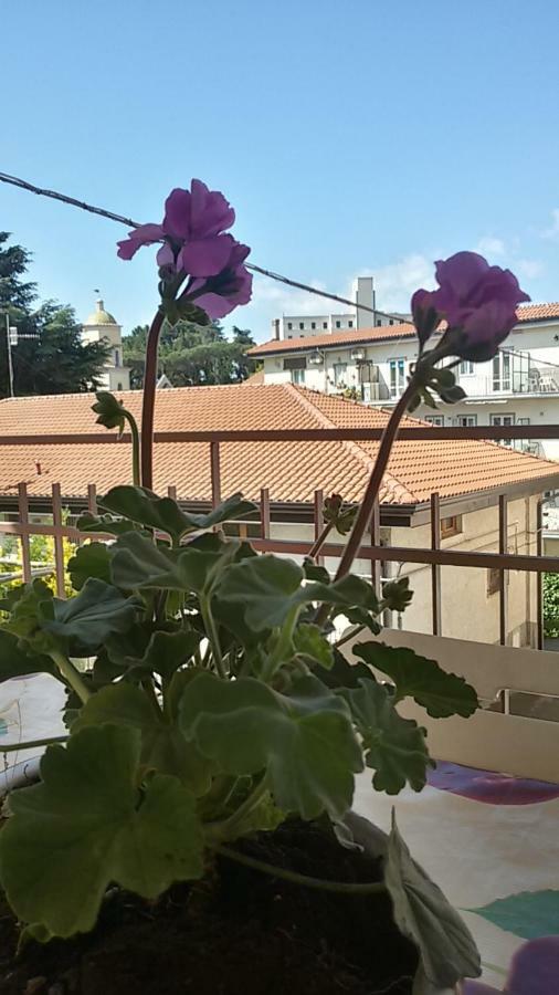 Casa Vacanza Xenia Аджерола Экстерьер фото